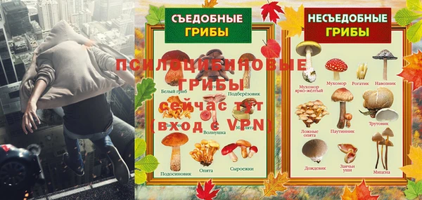 эйфоретик Алексин