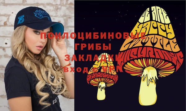 дурь Алексеевка