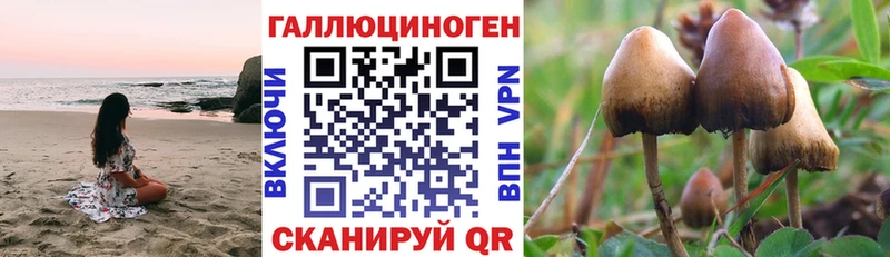дарнет шоп  Дмитровск  Галлюциногенные грибы мухоморы 